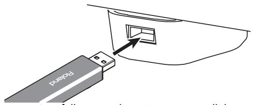 ROLAND AT-800 - Connecting the USB Memory - 1