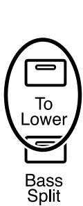ROLAND AT-900C - Using the Lower Keyboard to Play the Bass Voice (Pedal [To Lower] Button) - 1