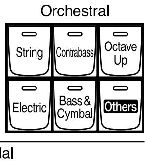 ROLAND AT-900C - Using the Lower Keyboard to Play the Bass Voice (Pedal [To Lower] Button) - 3