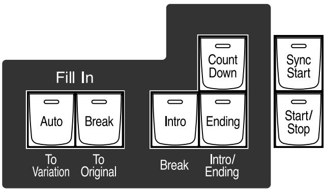 ROLAND AT-900C - Place the panel overlay sheet as shown in the illustration below. - 1