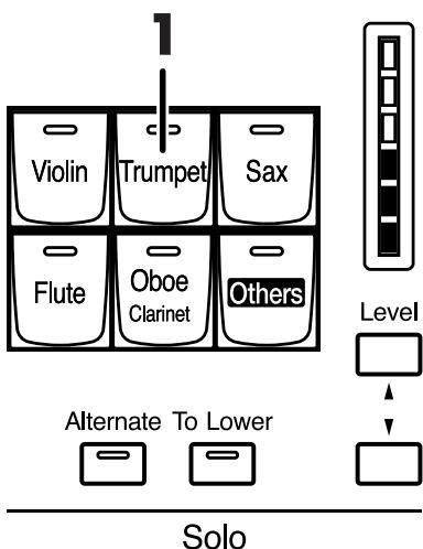 ROLAND AT-900C - Selecting Solo Voice - 1