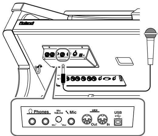 ROLAND AT-900C - Using a Microphone - 1