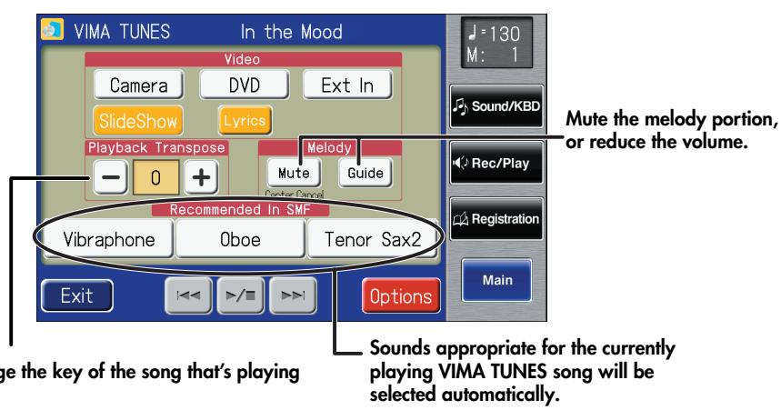 ROLAND AT-900C - VIMA TUNES Screen - 1