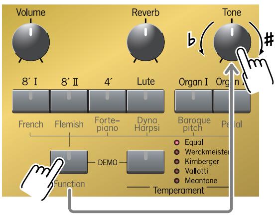 ROLAND C-30 - MEMO - 1