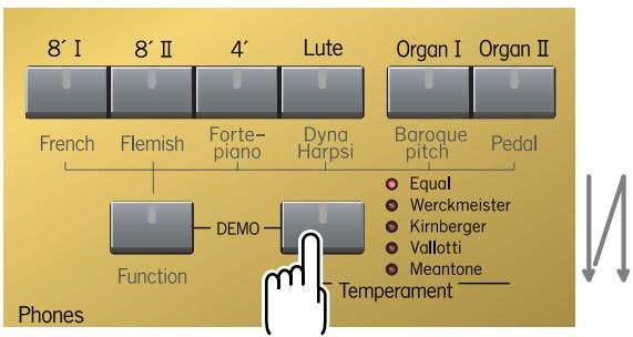 ROLAND C-30 - MEMO - 1