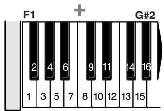 ROLAND C-30 - MEMO - 2