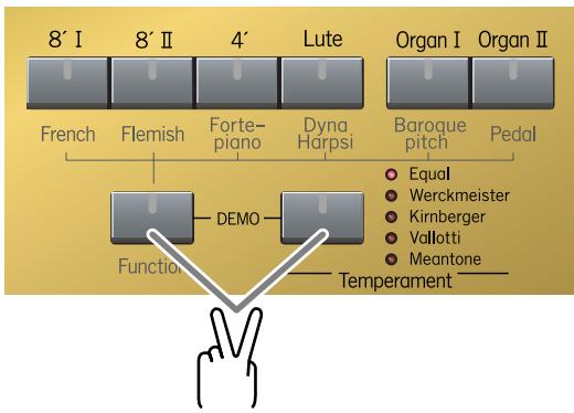 ROLAND C-30 - MEMO - 1