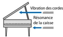 ROLAND CD-2E - Jouez sur la hauteur entre attaque et résonance - 1