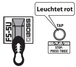 ROLAND CUBE-80X - Drücken Sie die TAP-Taste, oder betätigten Sie den TAP/REC/PLAY/DUB-Fußtaster. - 2