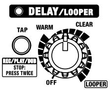 ROLAND CUBE-80X - Mando DELAY/LOOPER - 1