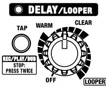 ROLAND CUBE-80X - DELAY/LOOPER-Regler - 1