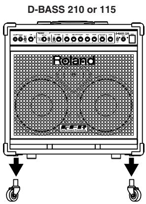 D-BASS 210 or 115 Roland EER