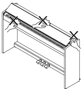 ROLAND F-110 - Caution - 2