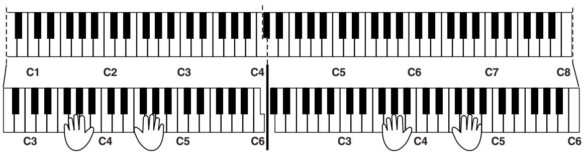 ROLAND F-110 - Press the [Reverb] or [Transpose] button to leave Function mode. - 2