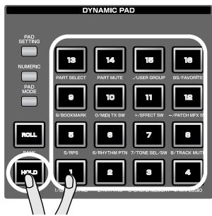 ROLAND FANTOM G6 - While holding down a pad, press [HOLD]. - 1