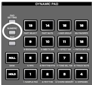 ROLAND FANTOM G6 - Using the Pads as Numeric Keys - 1