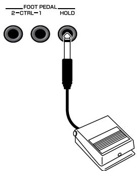 ROLAND FANTOM G6 - Hold Pedal - 1