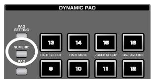 ROLAND FANTOM G6 - Using the Pads as Numeric Keys (NUMERIC) - 1