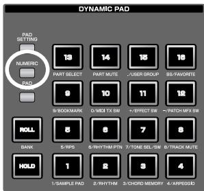 ROLAND FANTOM G6 - Using the pad for numeric input - 1