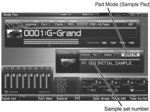ROLAND FANTOM G6 - TIP - 1