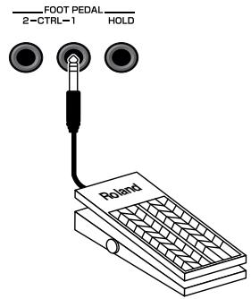 ROLAND FANTOM G8 - Control Pedal - 1