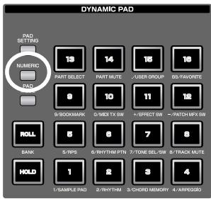 ROLAND FANTOM G8 - Using the Pads as Numeric Keys - 1