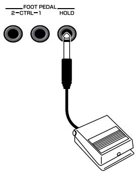 ROLAND FANTOM G8 - Hold Pedal - 1