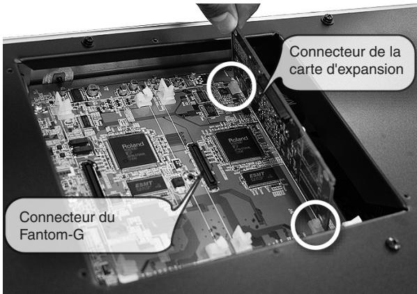 ROLAND FANTOM G8 - Installation d'une carte d'expansion Wave - 3