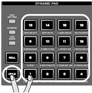 ROLAND FANTOM G8 - While holding down a pad, press [HOLD]. - 1