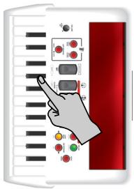 ROLAND FR-1 - ■Maatsoort instellen - 1