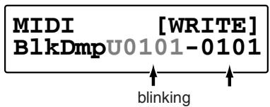 MIDI [WRITE] BlkDmpU0101-0101 blinking