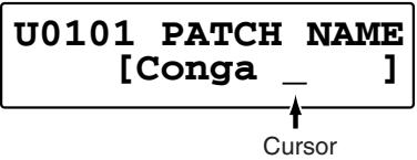 U0101 PATCH NAME [Conga _ ] Cursor