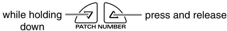 while holding down PATCH NUMBER press and release