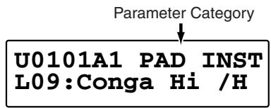 Parameter Category U0101A1 PAD INST L09:Conga Hi /H
