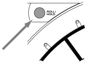 ROLL/ HOLD