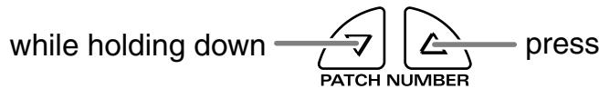 while holding down —— PATCH NUMBER —— press