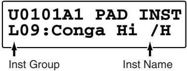 U0101A1 PAD INST L09:Conga Hi /H Inst Group Inst Name