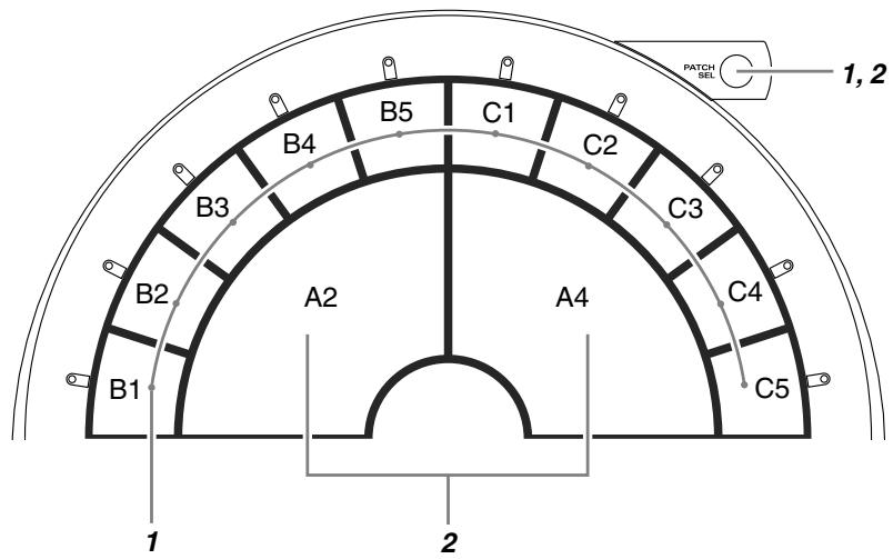 1, 2 PATCH SET B4 B5 C1 C2 B3 C3 B2 A2 A4 C4 B1 C5 1 2