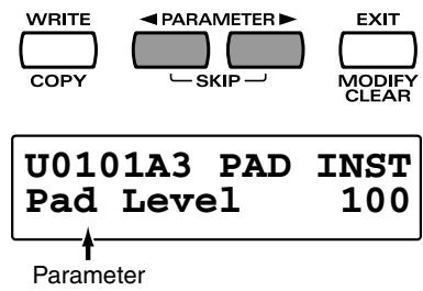 WRITE COPY PARAMETER SKIP EXIT MODIFY CLEAR U0101A3 PAD INST Pad Level 100 Parameter
