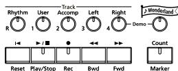 ROLAND HPI-7S - Adding a Count to Assist Your Timing - 10