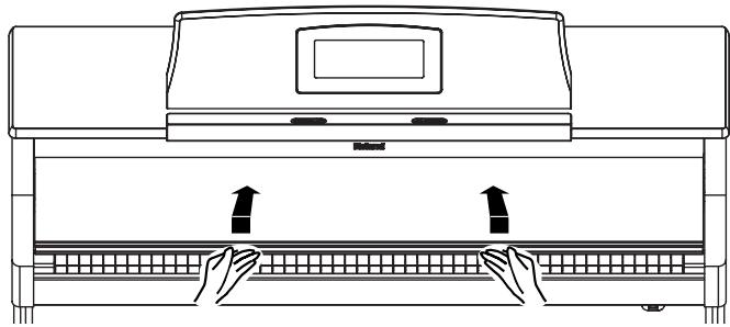 ROLAND HPI-7S - Opening the Lid - 1