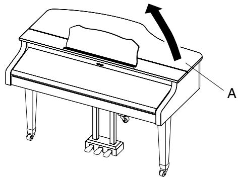 ROLAND KR-117 - WARNING - 1