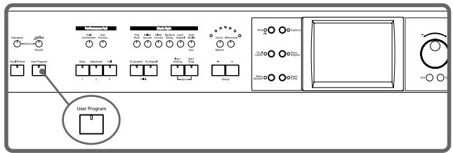 ROLAND KR-117 - Saving Performance Settings (User Program) - 1