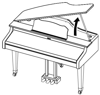 ROLAND KR-117 - WARNING - 2