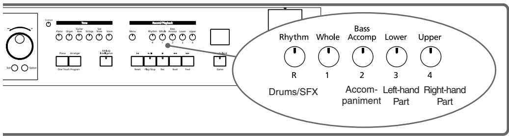 ROLAND KR-117 - Muting Some Parts Before Playing (Track Buttons) - 1