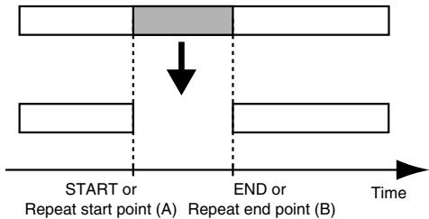 ROLAND MICRO BR - Erasing data (Track Erase) - 1