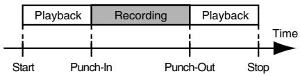 ROLAND MICRO BR - Re-recording over a mistake (Punch-in/out) - 1