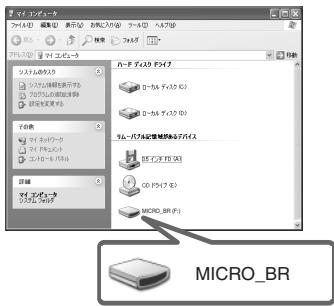 MICRO_BR