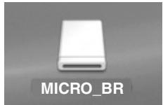MICRO_BR