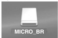MICRO_BR